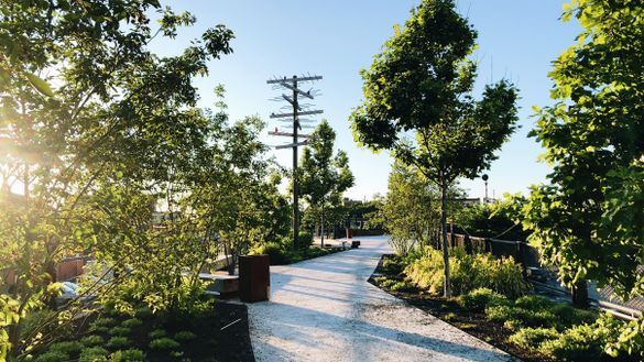 Philadelphia is home to urban oases of nature which come alive all year round. Photo by M. Smith for Friends of The Rail Park.