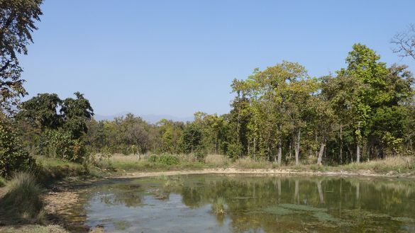 Chitwan National Park in Nepal