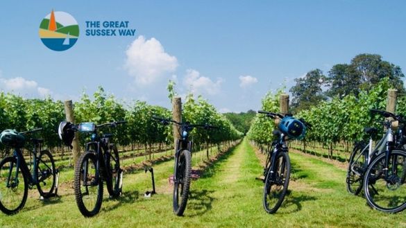 The Great Sussex Wine Tour
