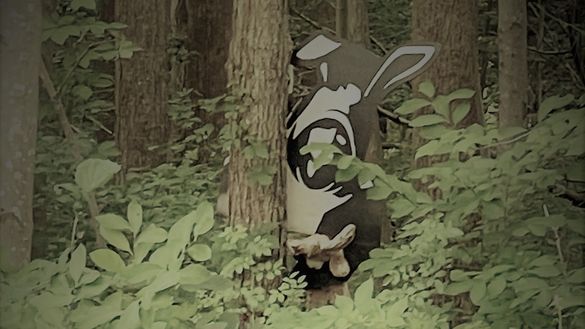 Bunnyman Brewing Co. in Fairfax, VA