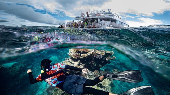 Dreamtime Dive and Snorkel Dreamtime Dive and Snorkel