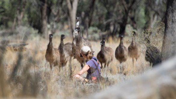 Exploring the Impacts of Climate Change at Mungo National Park - Echidna Walkabout Nature Tours