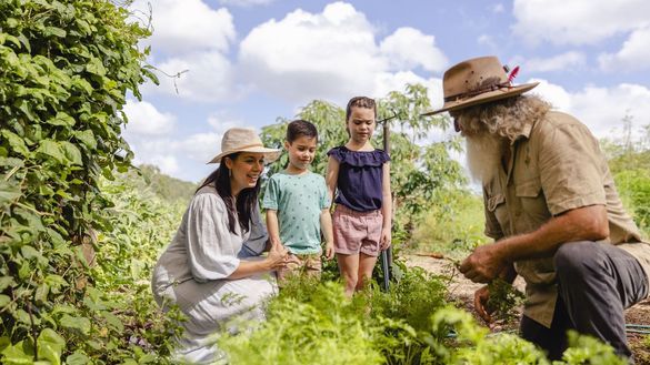 Public tours through HVD Permaculture Farm