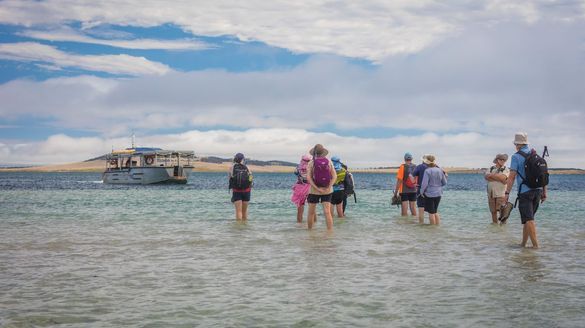 Coral Expeditions guests walking towards Xplorer tender