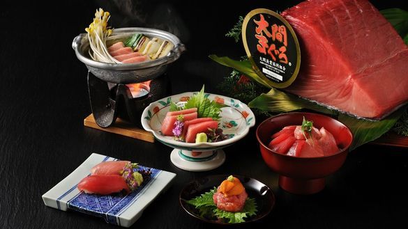 [KAI Tsugaru] Oma Tuna Special Kaiseki Course