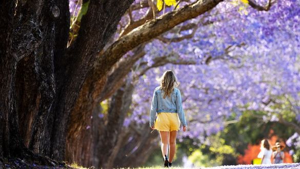 Clarence Valley in the Springtime