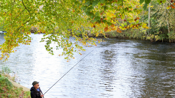 Fishing in the River Earn at Braidhaugh