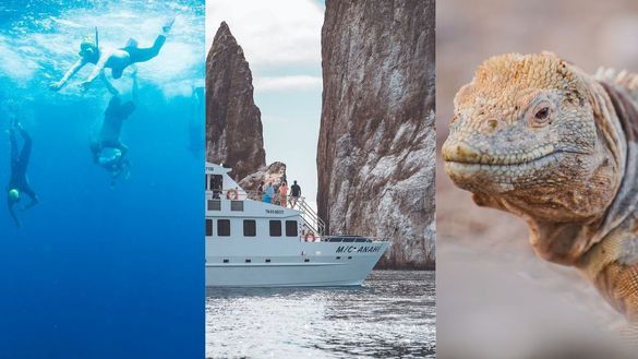 SwimTrek Partners with Galapagos Conservation Trust SwimTrek Partners with Galapagos Conservation Trust