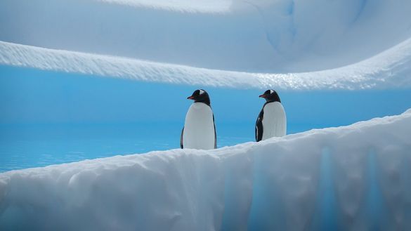 Antarctic Peninsula