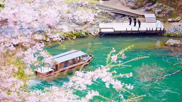 [HOSHINOYA Kyoto] Cherry blossoms and shuttle boat