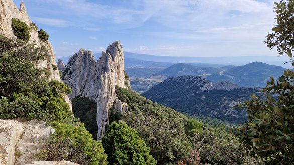 On Foot Holidays - Northern Provence - the Dentelles