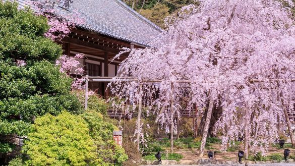 Bishamondo Temple 1 (in Yamashina, Kyoto)