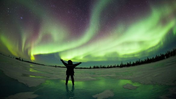 Northern Lights Northern Lights