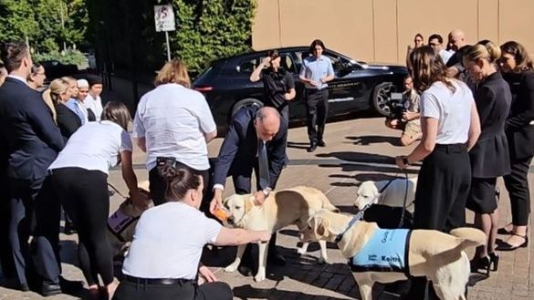 Charlie's Welcome with Guide Dogs