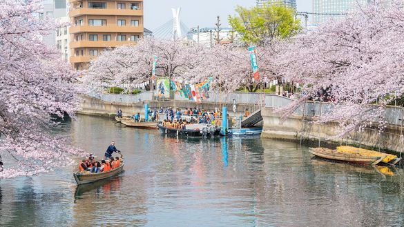 Oedo Fukagawa Sakura Festival 1