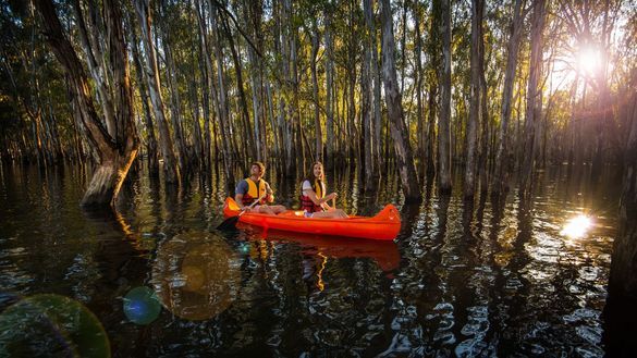 The Murray River, Barmah National Park