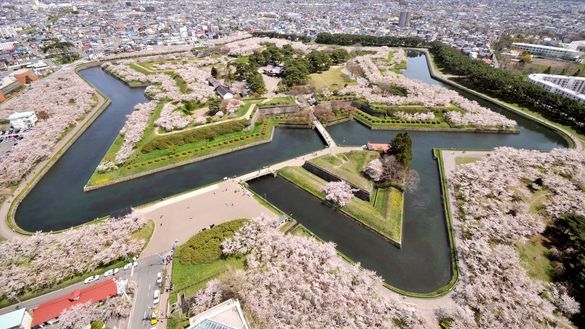 Goryokaku Park Cherry Blossoms Goryokaku Park Cherry Blossoms