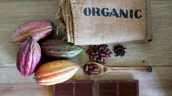 Grenada Chocolate Fest Grenada Chocolate Fest