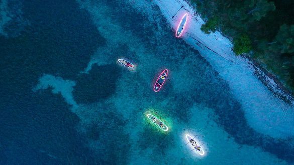 Showtime Kayaking, Lake Macquarie NSW Showtime Kayaking, Lake Macquarie NSW