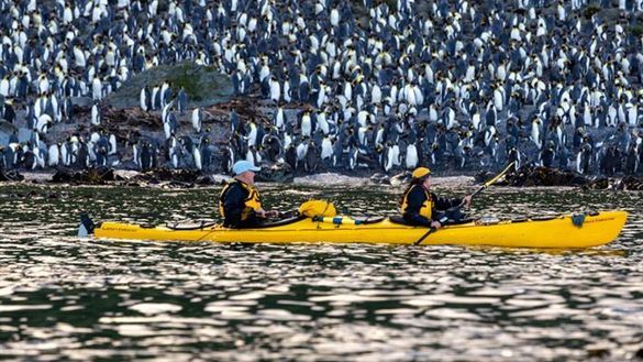 Macquarie Island on Heritage Expeditions cruise Macquarie Island on Heritage Expeditions cruise