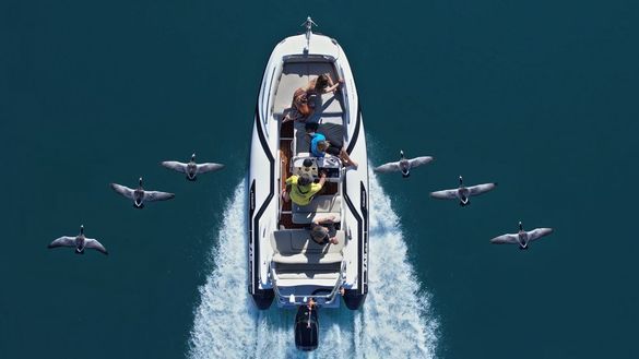 Fly Boat with wild geese Fly Boat with wild geese