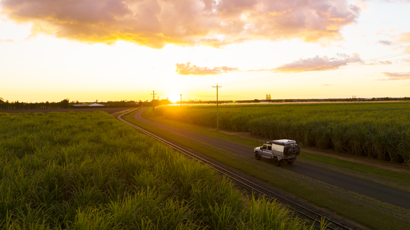 Sugar Cane Country Road Trip