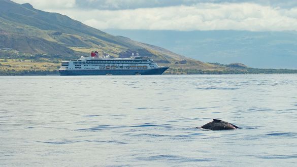 Borealis in Hawaii Borealis in Hawaii