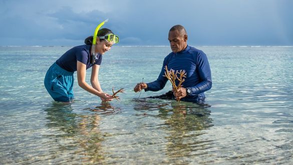 Naidiri Coral Planting Fiji, a Loloma Hour project 