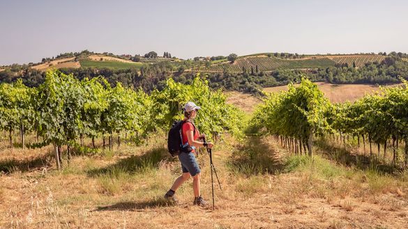 Hill Towns of Tuscany Hill Towns of Tuscany