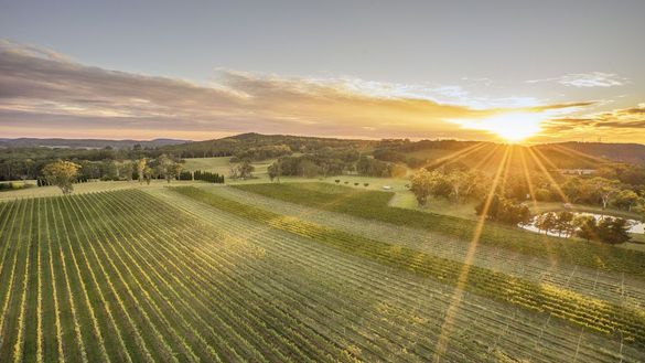 Centennial Vineyards, Bowral, Southern Highlands