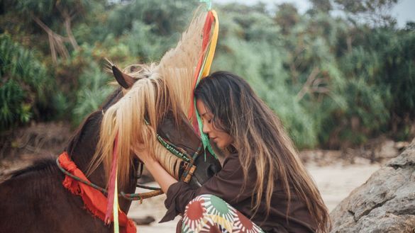 healing power of horses at NIHI healing power of horses at NIHI