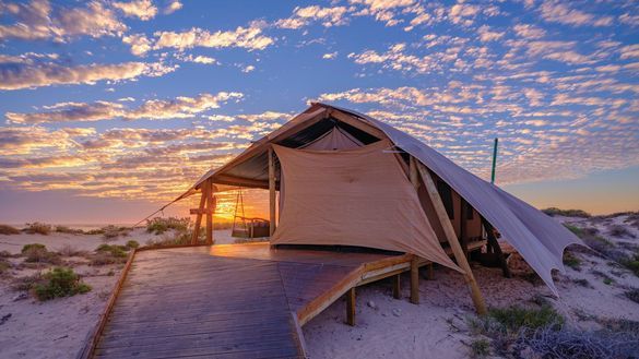 Sal Salis Ningaloo