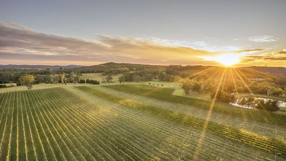 Centennial Vineyards, Bowral, Southern Highlands Centennial Vineyards, Bowral, Southern Highlands