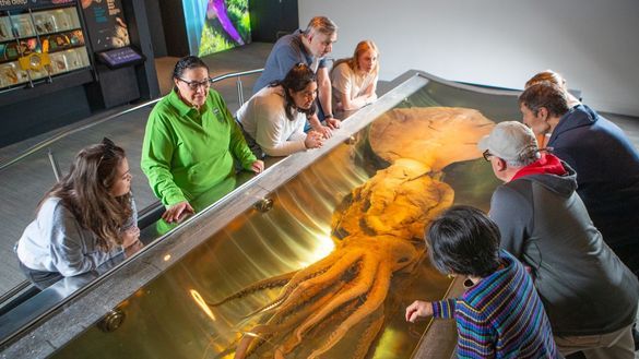 Te Papa Tours, 2025. Te Papa Tours, 2025.