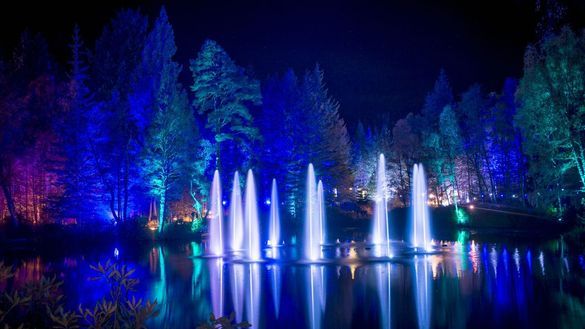 The Enchanted Forest in Pitlochry