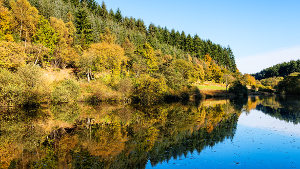 Staindale Lake in Dalby Forest Staindale Lake in Dalby Forest