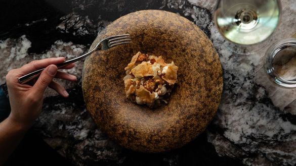 Whitsunday Cuttlefish