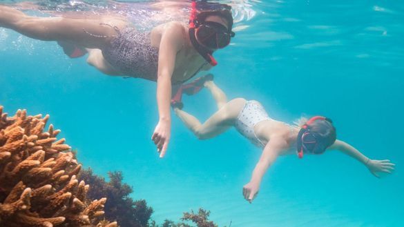 Keswick Island Snorkelling