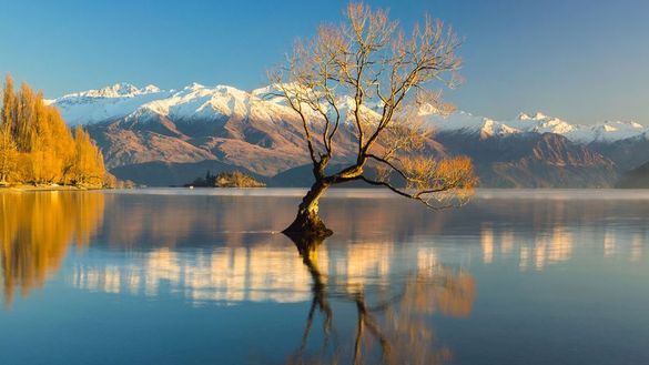 Walking New Zealand - South Island Explorer
