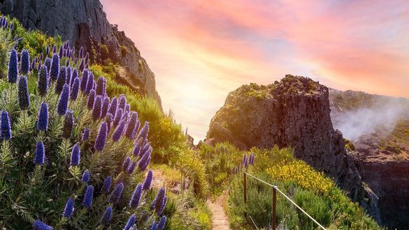 Madeira Island Walking: East to West with Walkers’ Britain & Europe