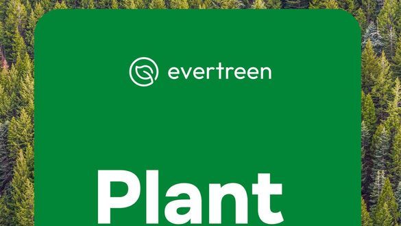 Evertreen Tree Planting Commitment 