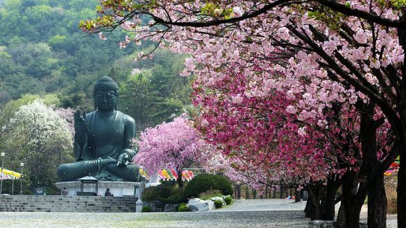 Gagwonsa-Tempel, Chungcheongnam-do