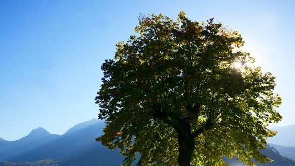 Lac Annecy bike path