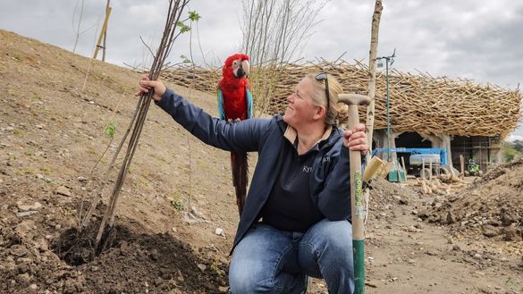 Thousands of Trees Planted as Kynren Creates 150 Acres of New Wildlife Habitat