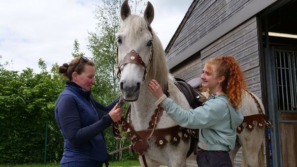 Specialist costumes are being created for the equine stars of Kynren - The Storied Lands
